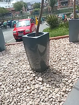 Snapshot of Lexwelll chatting on 03/16/25, 11:05 Lexwelll online show from 03/16/25, 11:05