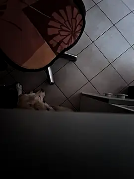 Snapshot of HardWolf2024 chatting on 12/09/24, 02:49 HardWolf2024 online show from 12/09/24, 02:49