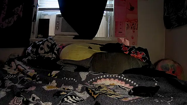 Snapshot of ATwinkie chatting on 10/08/25, 01:20 ATwinkie online show from 10/08/25, 01:20