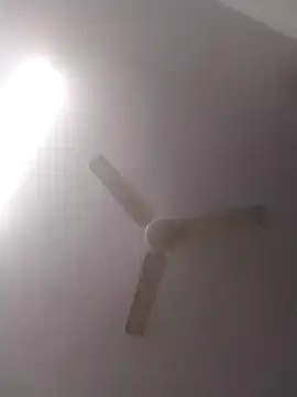 jenilmax online show from 12/16/24, 04:49