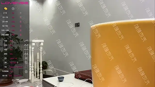 xinxin-521 online show from 12/20/24, 07:17