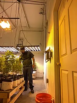 jr91esl online show from 03/02/25, 05:14