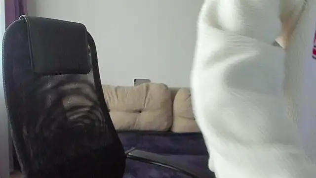 Snapshot of Ostin_meow chatting on 11/07/25, 07:08 Ostin meow online show from 11/07/25, 07:08