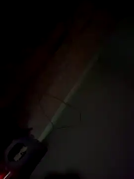 imissyoumylove14 online show from 01/21/25, 07:47