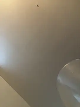 Snapshot of bv7L1h5i6B_jNHe chatting on 01/28/25, 01:05 bv7L1h5i6B jNHe online show from 01/28/25, 01:05