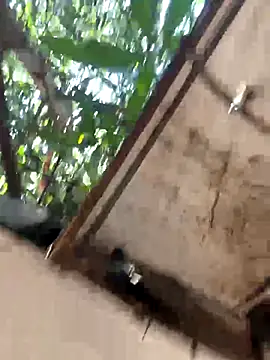 Morguisssz online show from 12/18/25, 06:36