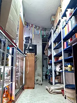 Snapshot of nidia2026 chatting on 03/01/25, 06:32 nidia2026 online show from 03/01/25, 06:32