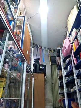 Snapshot of nidia2026 chatting on 11/20/25, 03:34 nidia2026 online show from 11/20/25, 03:34