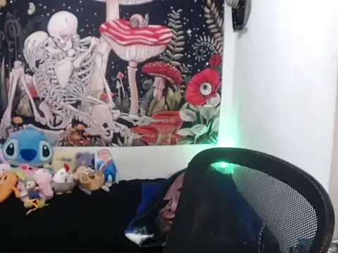 hachi kitty online show from 04/03/26, 02:53