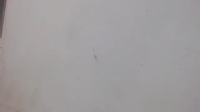 danilo302209 online show from 02/01/25, 01:02