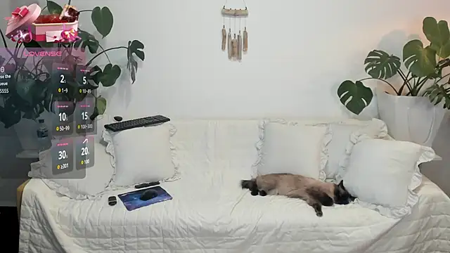 Amie Hill online show from 02/16/26, 07:37