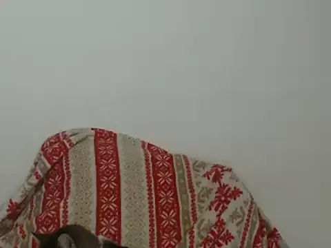 Snapshot of Hannabeckboobs chatting on 01/12/25, 05:03 Hannabeckboobs online show from 01/12/25, 05:03