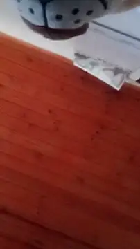 Snapshot of Darly_Gomez chatting on 12/31/24, 04:46 Darly Gomez online show from 12/31/24, 04:46