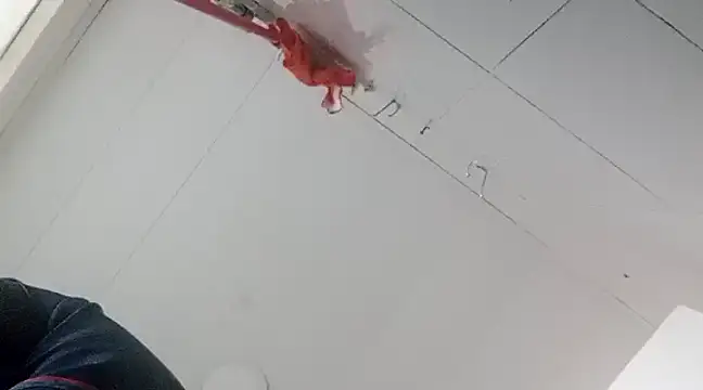 Snapshot of Darly_Gomez chatting on 01/02/25, 10:33 Darly Gomez online show from 01/02/25, 10:33