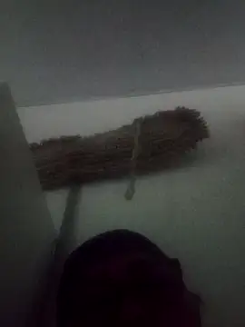 Snapshot of Darly_Gomez chatting on 02/09/25, 05:33 Darly Gomez online show from 02/09/25, 05:33