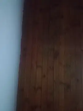 Snapshot of Darly_Gomez chatting on 02/18/25, 11:52 Darly Gomez online show from 02/18/25, 11:52