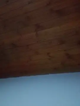 Snapshot of Darly_Gomez chatting on 02/19/25, 08:41 Darly Gomez online show from 02/19/25, 08:41