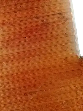 Snapshot of Darly_Gomez chatting on 03/01/25, 04:00 Darly Gomez online show from 03/01/25, 04:00