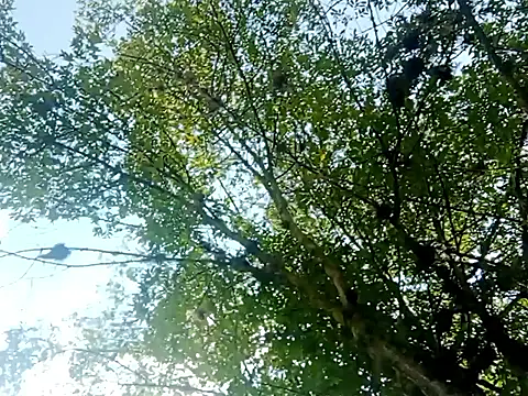 Snapshot of Darly_Gomez chatting on 03/15/25, 03:27 Darly Gomez online show from 03/15/25, 03:27