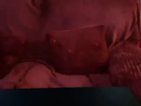 Snapshot of Emmamilfita chatting on 02/25/25, 04:53 Emmamilfita online show from 02/25/25, 04:53