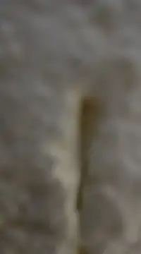 tuty Tap online show from 12/07/24, 05:31