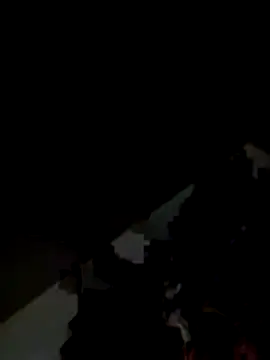 Kitjai200301 online show from 11/01/25, 07:43