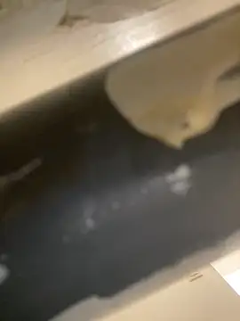 Snapshot of Mme_Milahotspicy chatting on 10/19/25, 07:03 Mme Milahotspicy online show from 10/19/25, 07:03