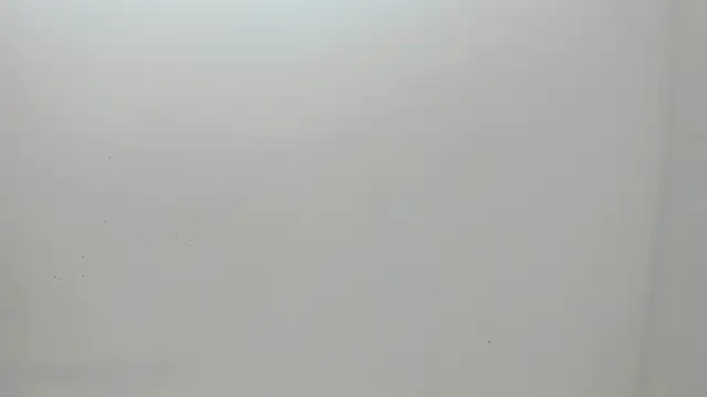 Flynn Riider online show from 03/01/25, 11:17