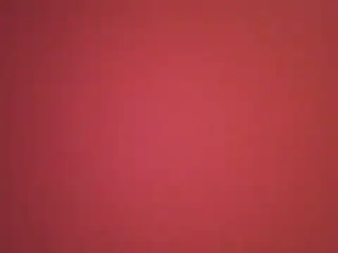  revianzip1 online show from 12/25/24, 08:07