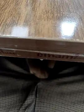 Kakabiraji online show from 03/17/26, 07:12