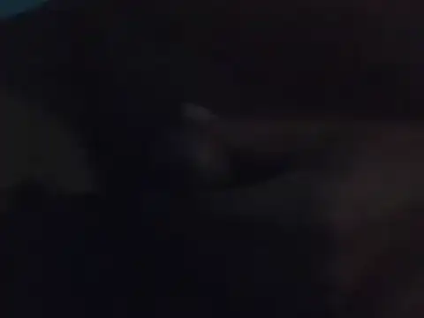 Snapshot of Penis58 chatting on 12/15/24, 10:26 Penis58 online show from 12/15/24, 10:26