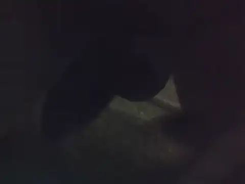 Snapshot of Penis58 chatting on 12/22/24, 12:16 Penis58 online show from 12/22/24, 12:16