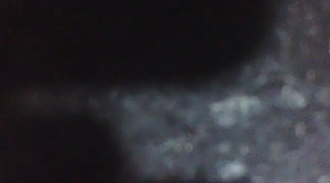 Snapshot of Penis58 chatting on 02/10/25, 06:56 Penis58 online show from 02/10/25, 06:56