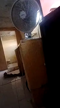 frotasso online show from 03/04/25, 02:42