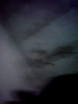 Snapshot of jolesin chatting on 12/21/24, 02:47 jolesin online show from 12/21/24, 02:47