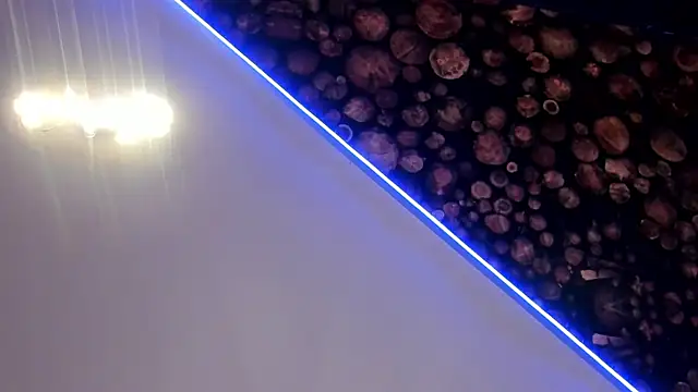 ArtemisaBlake online show from 03/20/25, 07:35