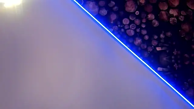 ArtemisaBlake online show from 03/22/25, 04:47