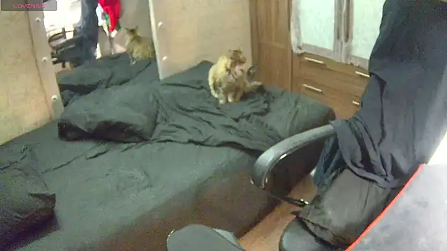 Julia dolls online show from 12/14/24, 07:03