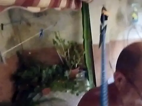 soy 5 online show from 09/10/25, 08:53