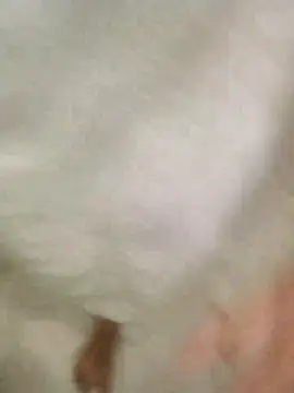 Snapshot of Bombi22 chatting on 12/30/24, 08:15 Bombi22 online show from 12/30/24, 08:15