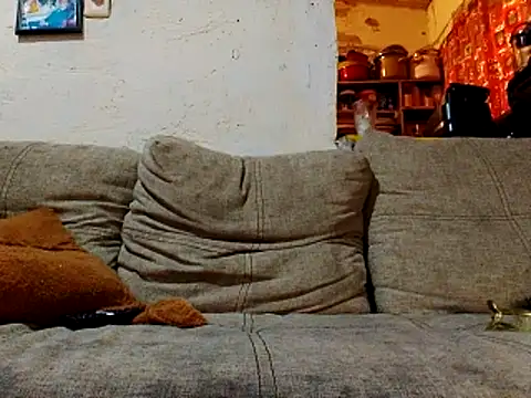 Snapshot of NewBe9D9 chatting on 11/23/25, 09:42 NewBe9D9 online show from 11/23/25, 09:42