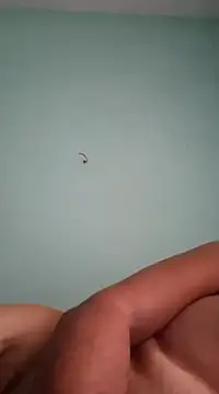 Snapshot of alexjs84 chatting on 12/16/24, 11:12 alexjs84 online show from 12/16/24, 11:12