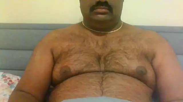 indianbearbot online show from 12/28/24, 08:47