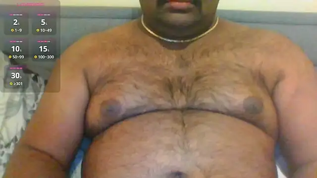 indianbearbot online show from 01/29/25, 08:35