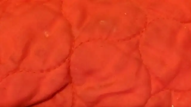 Snapshot of Huntzg23 chatting on 11/28/25, 07:44 Huntzg23 online show from 11/28/25, 07:44