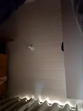 Leinad27 online show from 11/20/25, 03:45