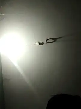 jaydev madhuri online show from 03/19/26, 07:45