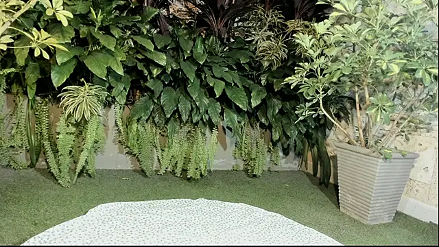 loladupont online show from 09/10/25, 03:06