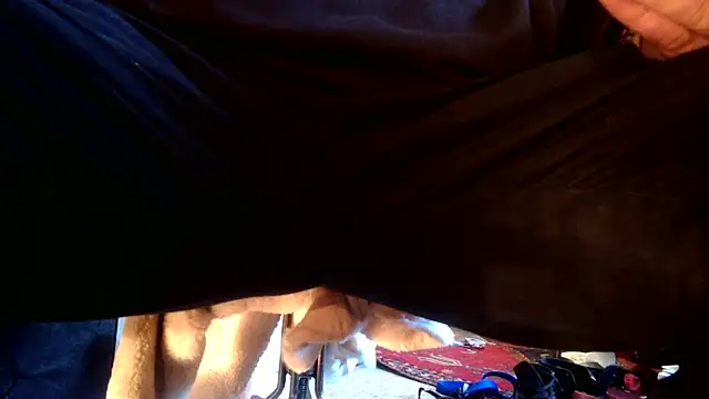 Snapshot of SilverandFox chatting on 09/10/25, 05:46 SilverandFox online show from 09/10/25, 05:46