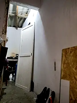 gatoalex89 online show from 02/19/25, 03:06